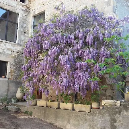 Gites De La Place Du Chateau Salavas Exterior photo